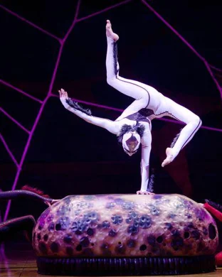 Cirque Du Soleil - Twas The Night Before